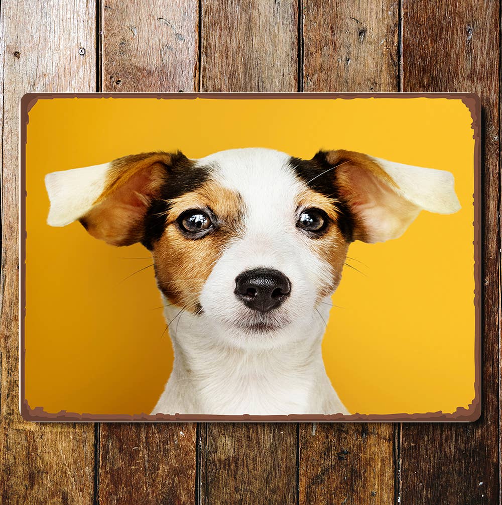 Jack Russell Head Portrait | Metal Sign Plaque