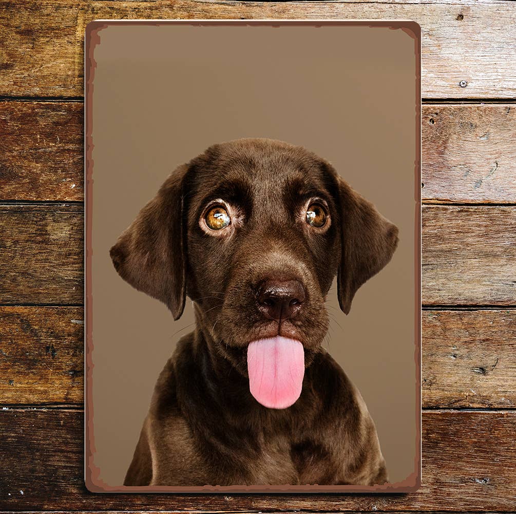 Funny Cute Brown Labrador Dog Tongue Eyes | Metal Sign Plaque