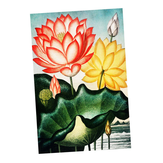 Lotus Vintage Botanical Flowers Plants | Metal Sign