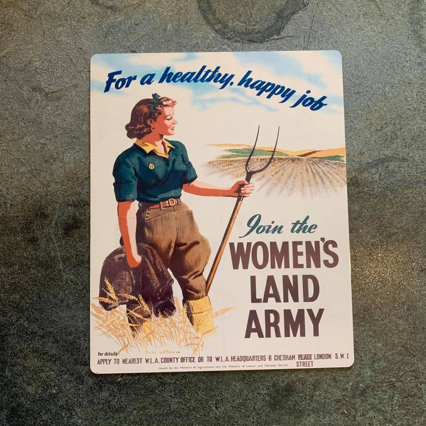 Healthy Happy job Join The Womans Land Army | Metal Sign