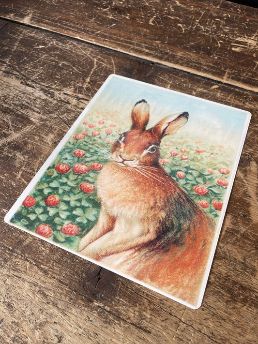 Hare Illustration | Metal Botanical Wall Sign