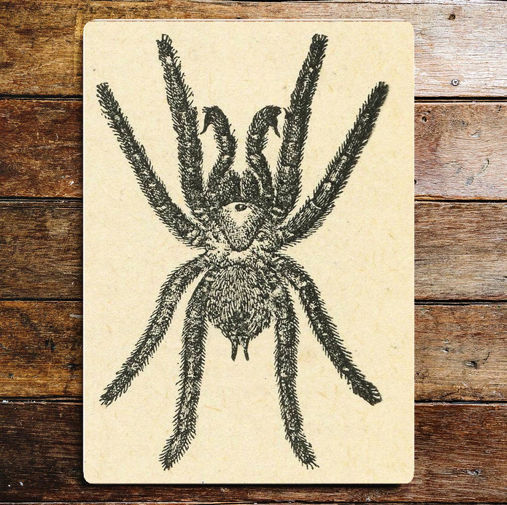 Black Hairy Spider | Metal Sign Plaque
