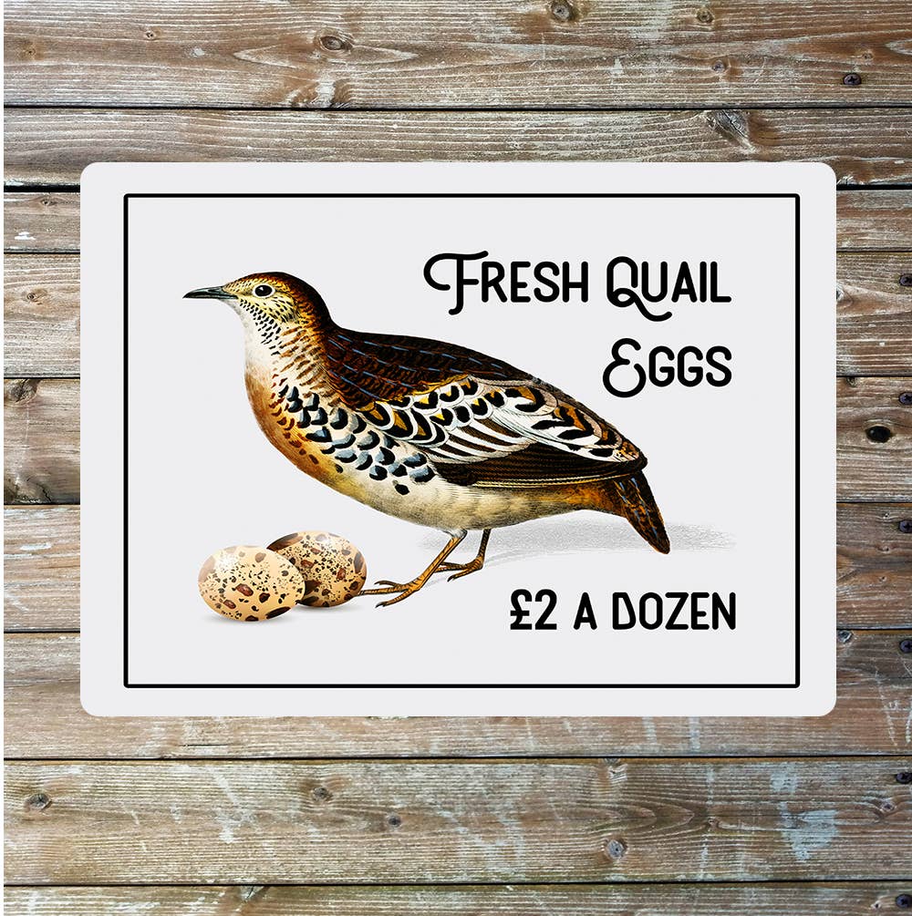 Quail eggs for sale Metal Sign Plaque