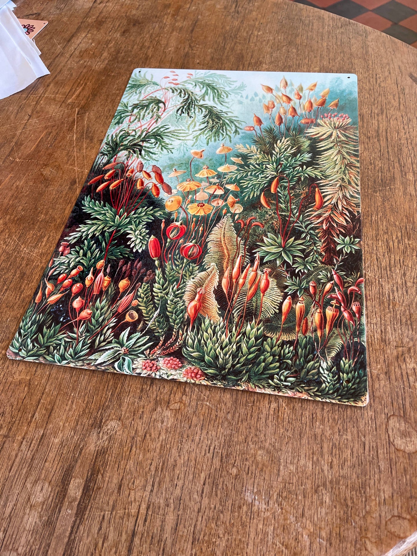 Garden Flowers Green | Metal Sign Plaque