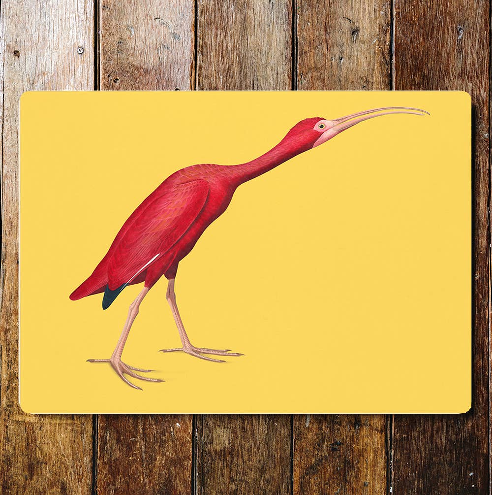 Pink Walking Ibis Bird Metal Sign Plaque