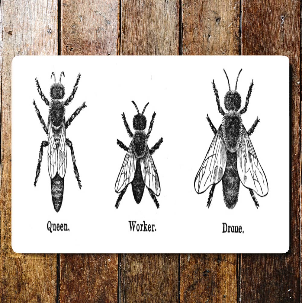 Life of the Bee Queen Worker Drone | Metal Sign Plaque
