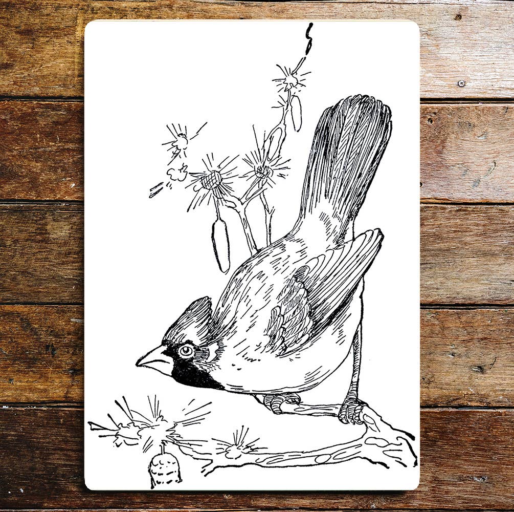 Bowing Perched Bird Pencil Drawing | Metal Sign Plaque