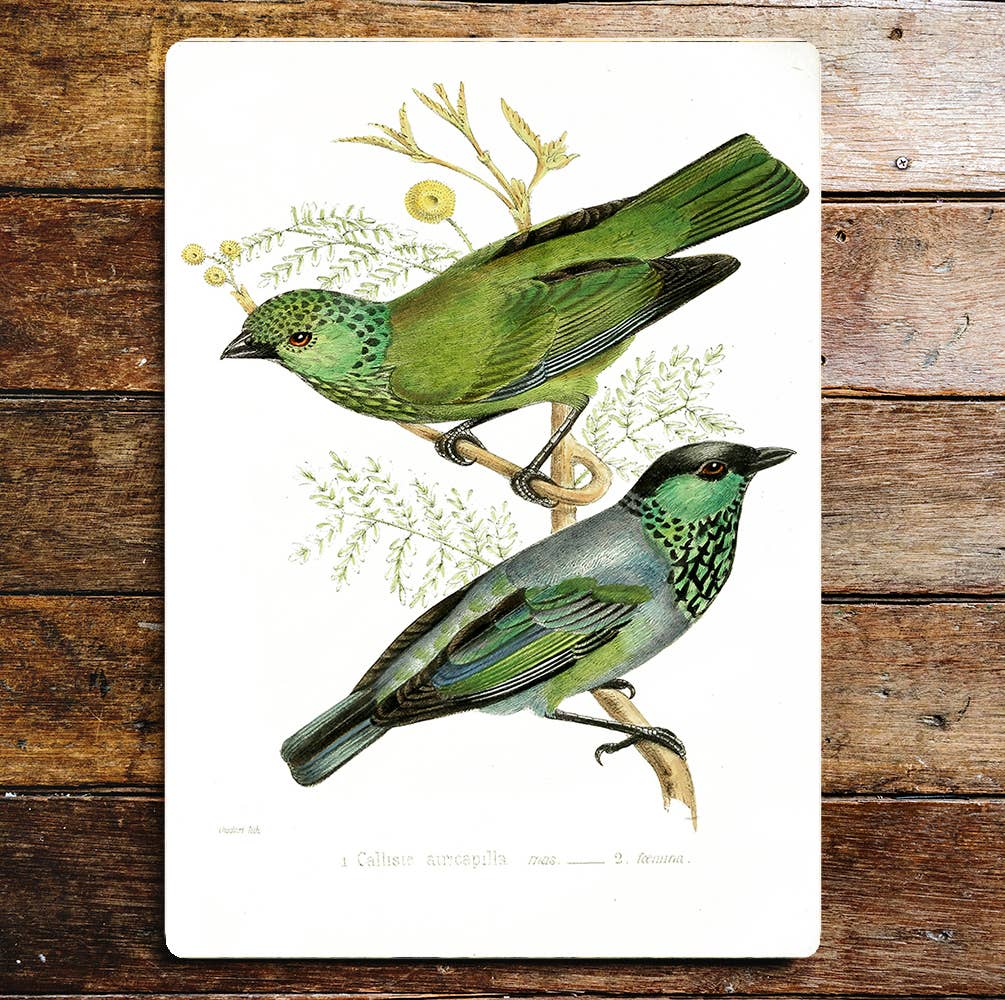 Green Bird's Branch Yellow Flower | Metal Sign Plaque