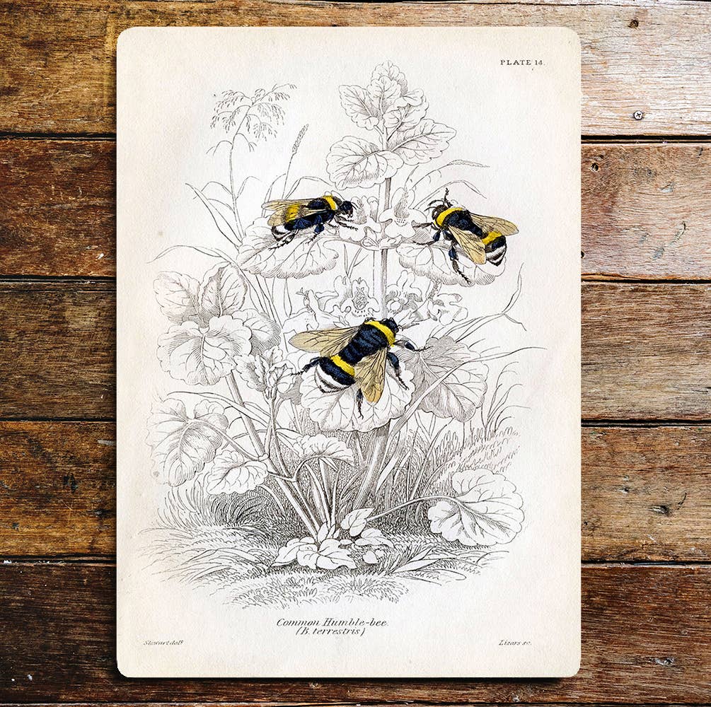 Bees Flowers | Metal Wall Sign