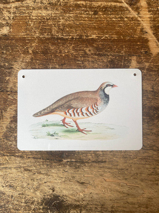 British Game Birds Red Leg Partridge | Metal Sign