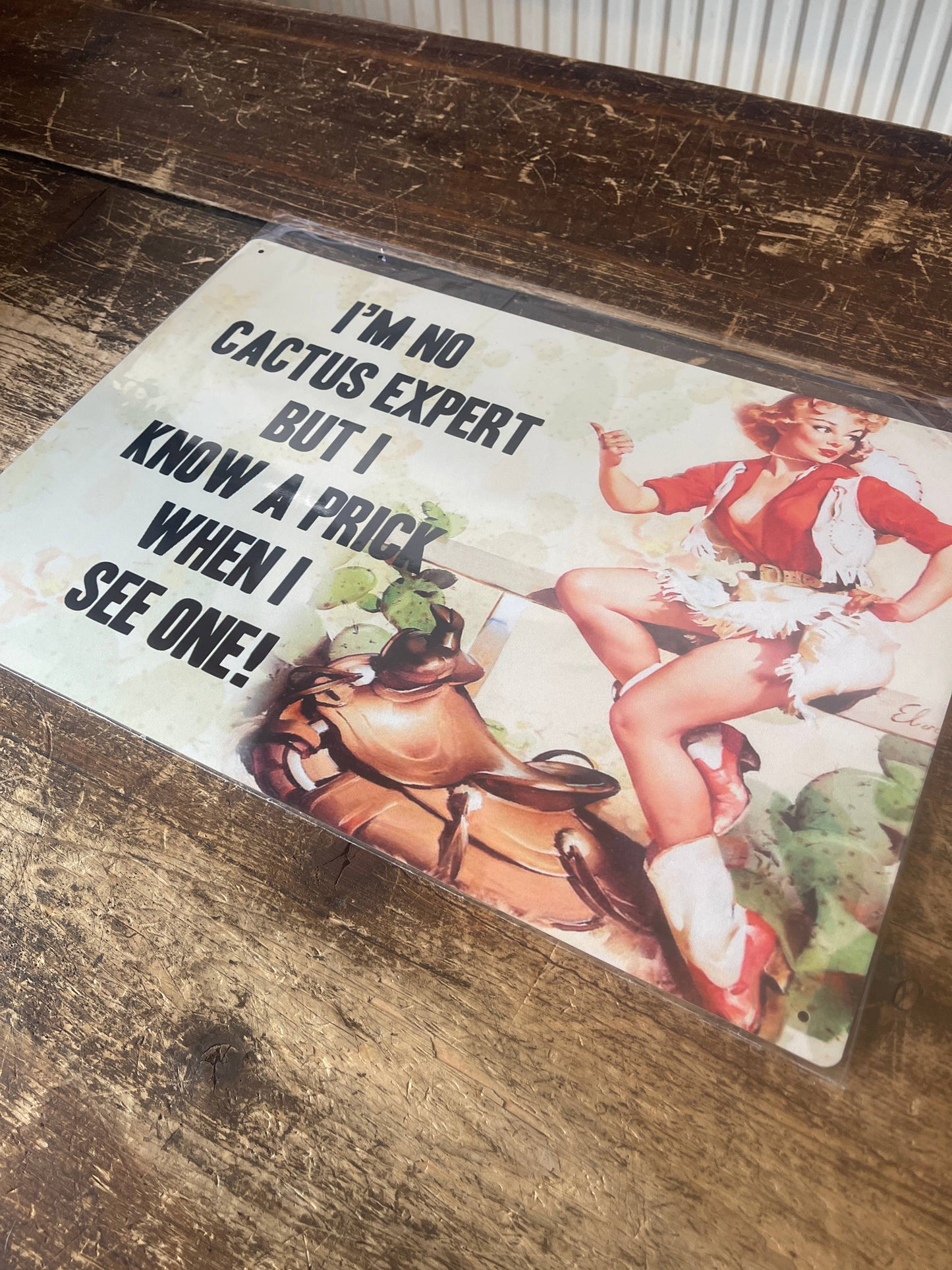 I'm No Cactus Expert But I Know A Prick | Metal Wall Sign