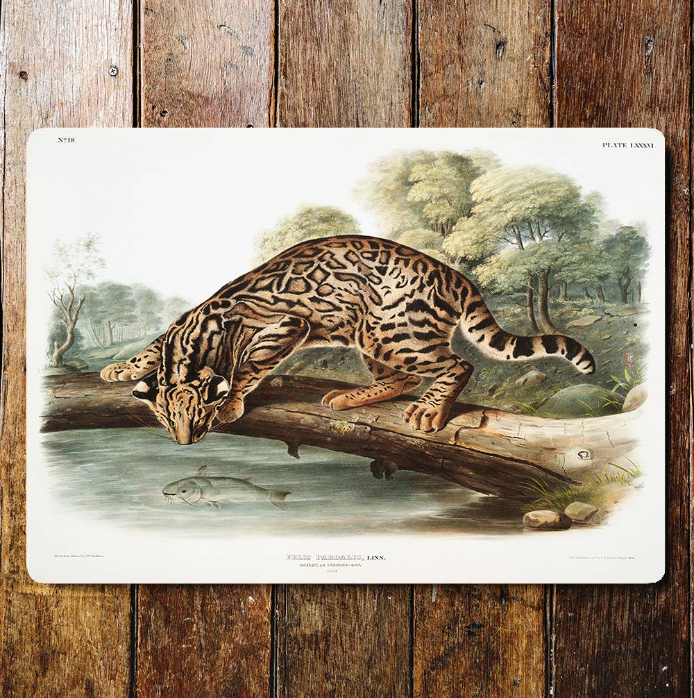 Cheetah Fishing Tree Log | Metal Sign Plaque