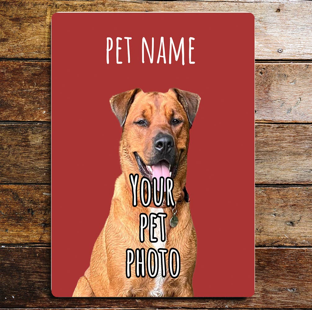 Personalize Pet Photo and Name Metal Sign Plaque