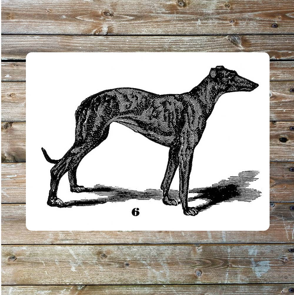 Greyhound
Dog black and white art | Metal Sign Plaque