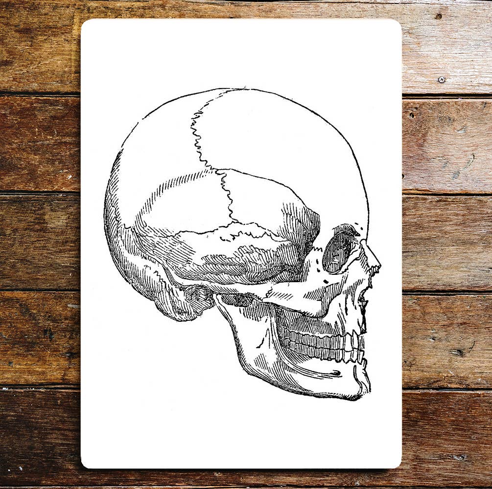 Skull Sideways Halloween Metal Wall Sign