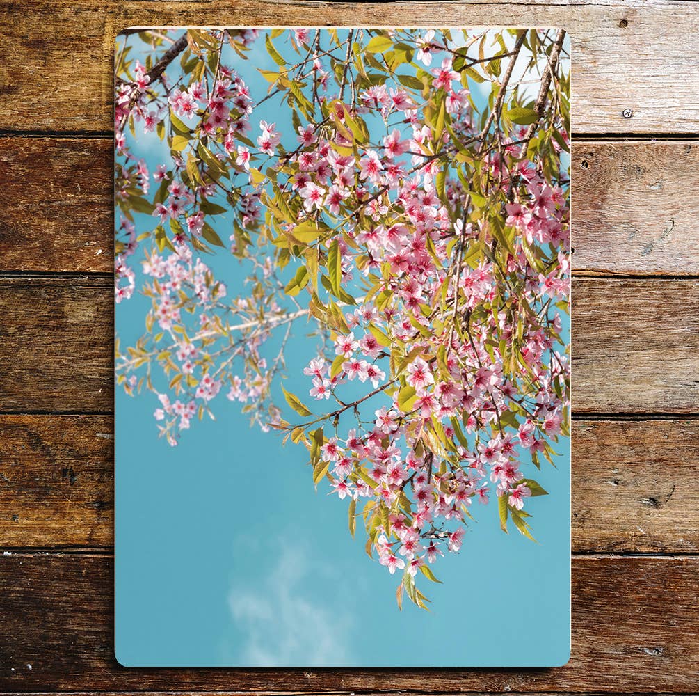 Spring blossom flower blue sky art Metal Sign Plaque