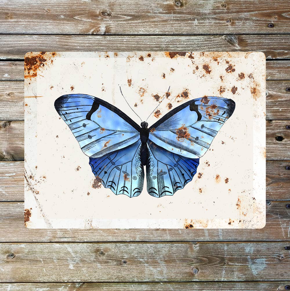 Pretty Blue butterfly Animal Metal Sign Plaque