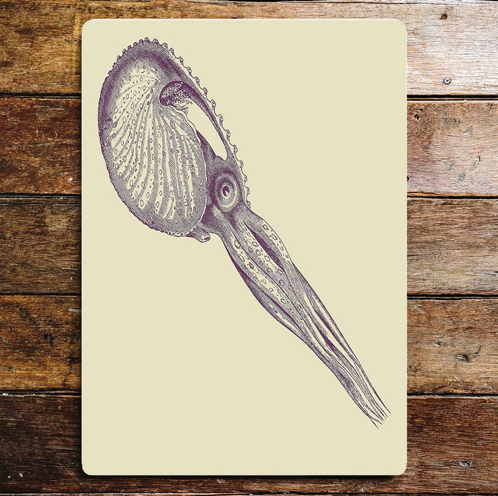 Octopus Squid Sea life | Metal Wall Sign Plaque