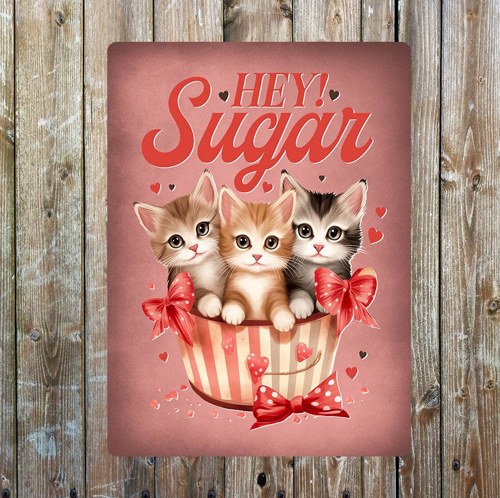 Hey sugar Cats kittens Valentines | Metal Sign Plaque