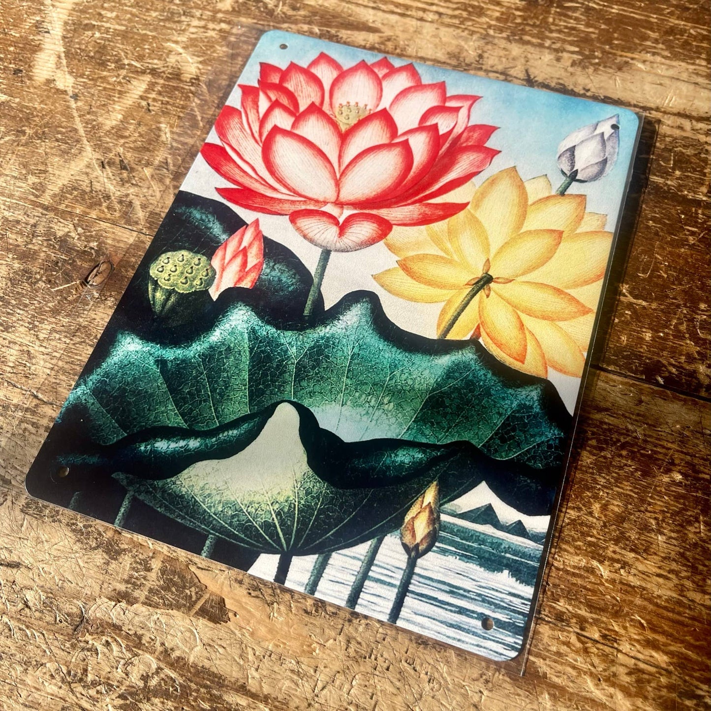 Lotus Vintage Botanical Flowers Plants | Metal Sign