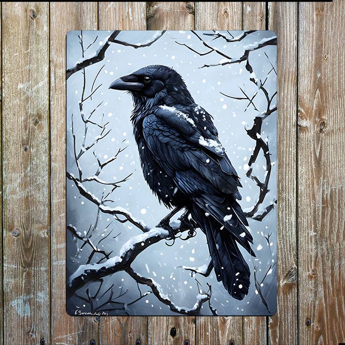 Black Crow Perched On Snowy Branch | Metal Sign Plaque