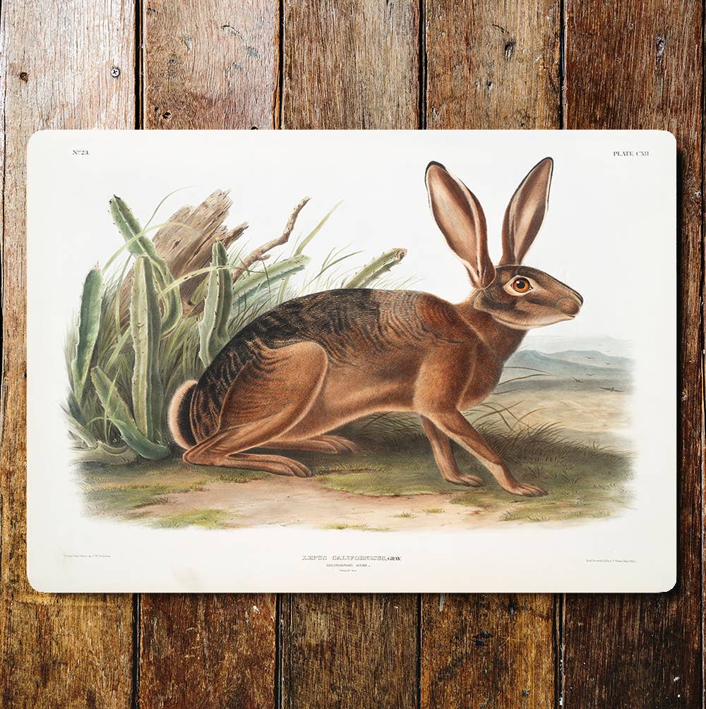Hare Countryside Hills Animals | Metal Sign Plaque