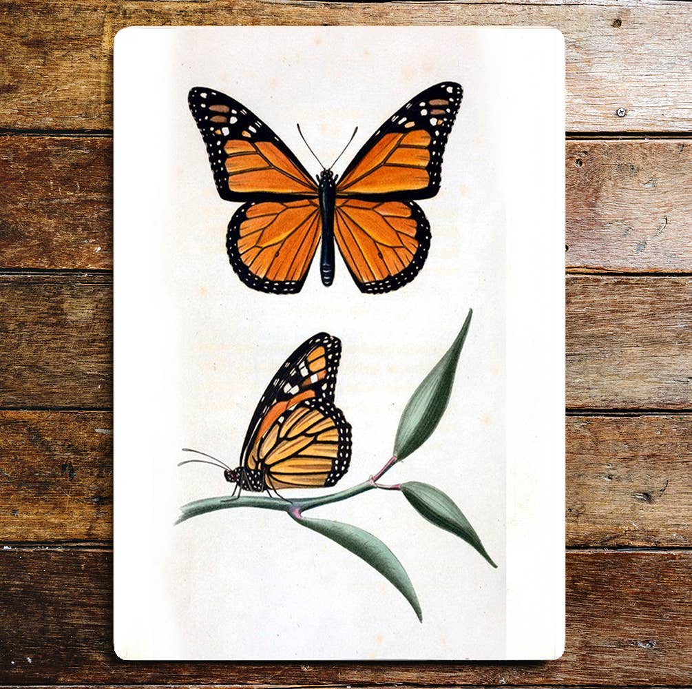 Butterflies Orange Black | Metal Sign Plaque