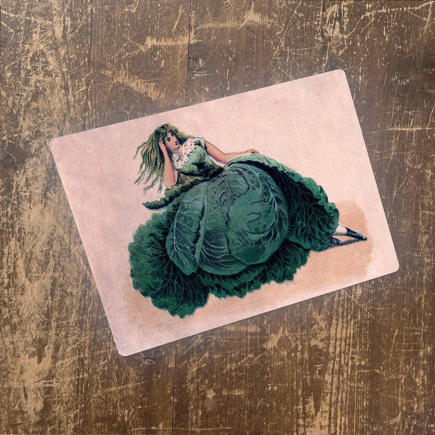 Vintage Lady Cabbage Dress Garden Plant | Metal Sign