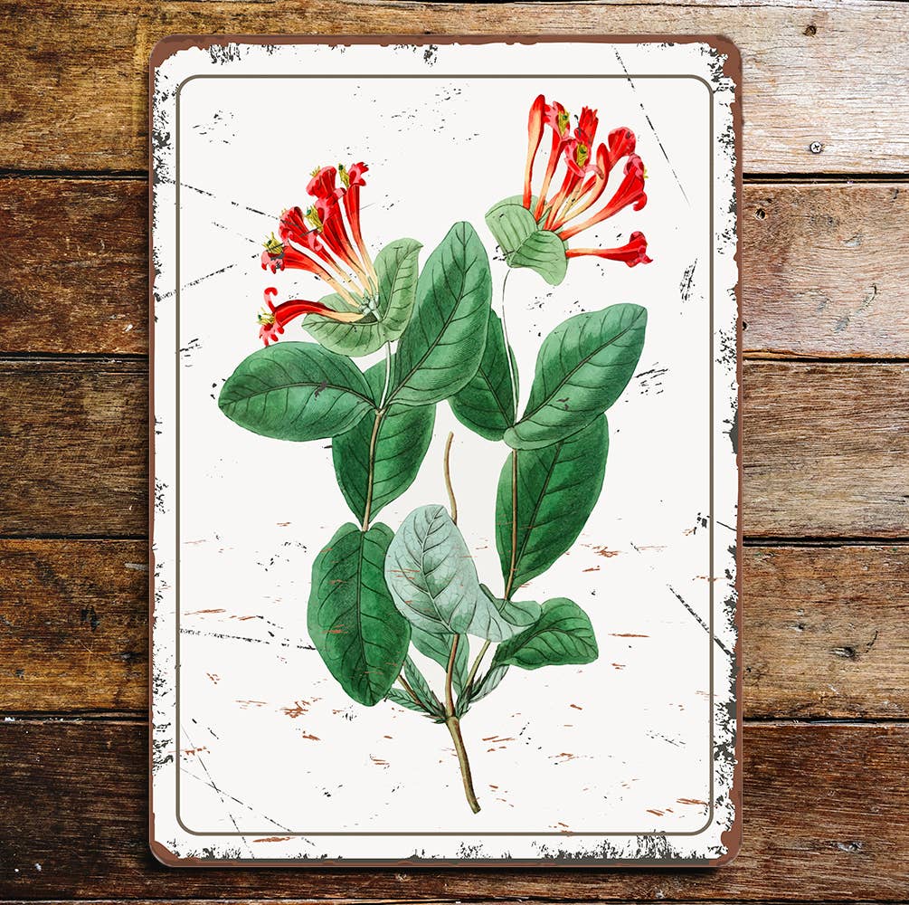 honey suckle Plant | Metal Wall Sign