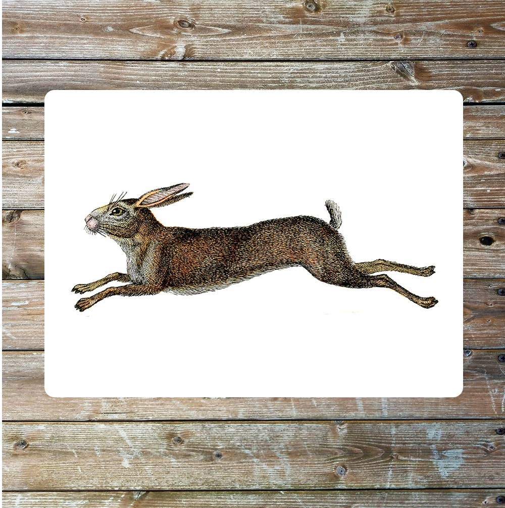 Hare nature wildlife vintage art | Metal Sign Plaque