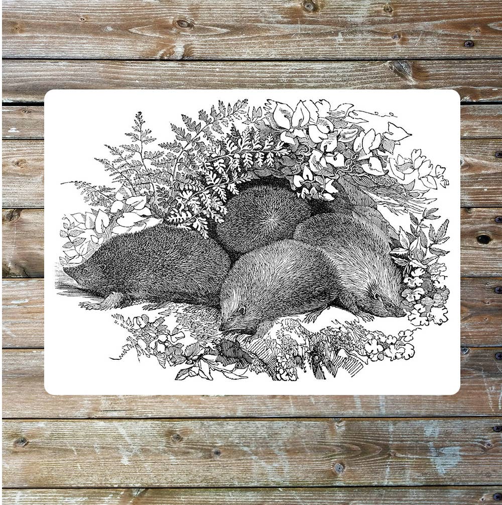 Hedgehog nature wildlife vintage art | Metal Sign Plaque