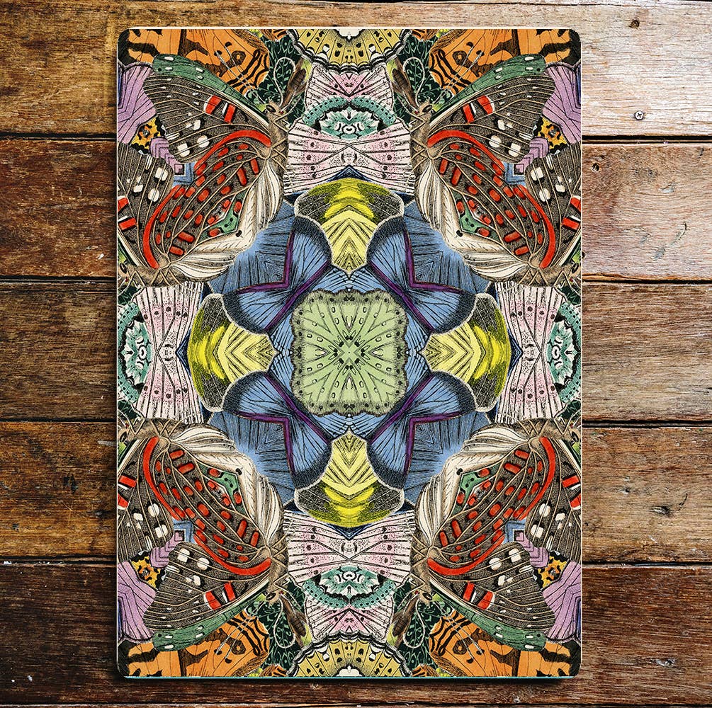 Multicoloured Butterfly Abstract Pattern | Metal Sign Plaque