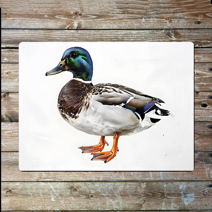 Male Mallard Duck | Farm Farmhouse | Metal Sign Plaque