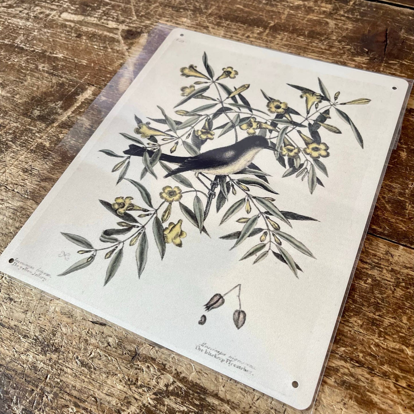 Bird Branch Botanical | Metal Botanical Wall Sign