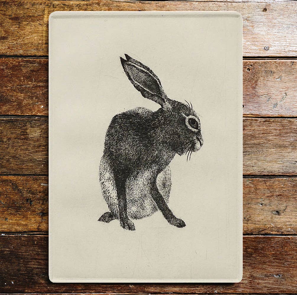 Hare Animal Black And White | Metal Wall Sign
