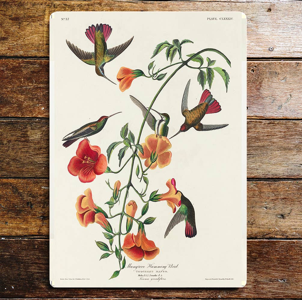 Orange Flowers Flying Humming Bird | Metal Sign Plaque