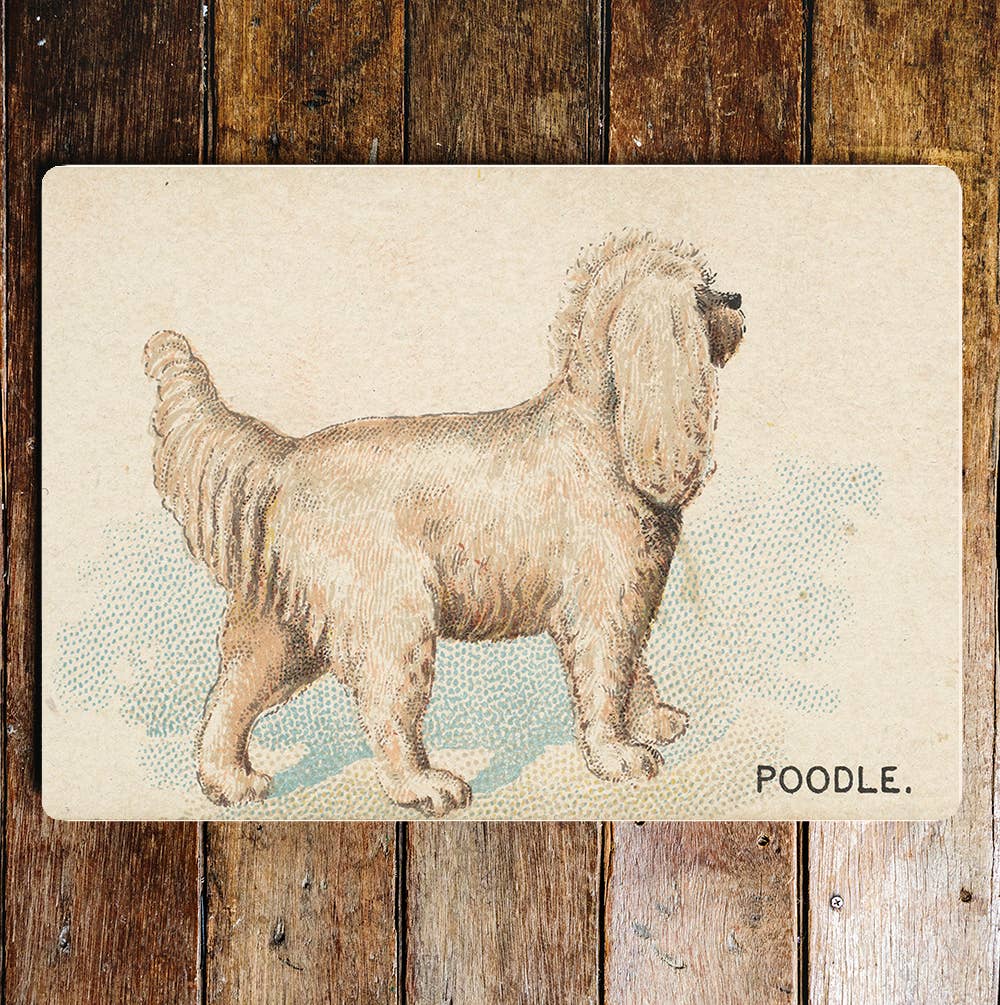 Poodle vintage Metal Sign Plaque