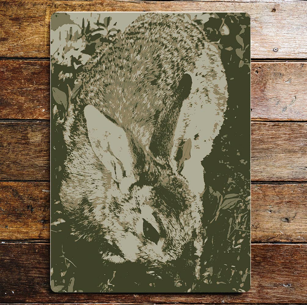 Photo Rabbit Metal Sign Plaque