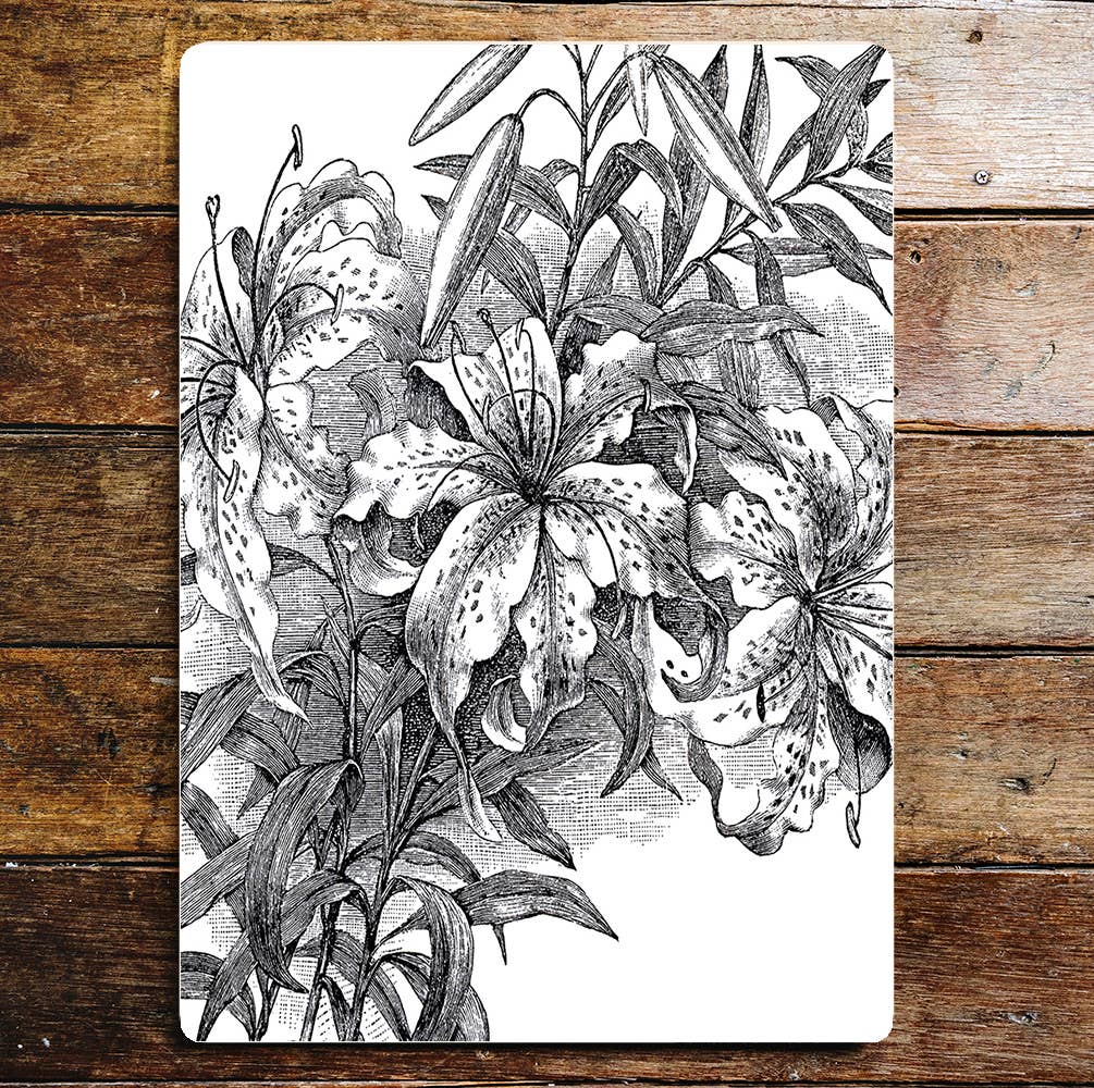 Lilies Stems Black White Flowers | Metal Wall Sign Plaque