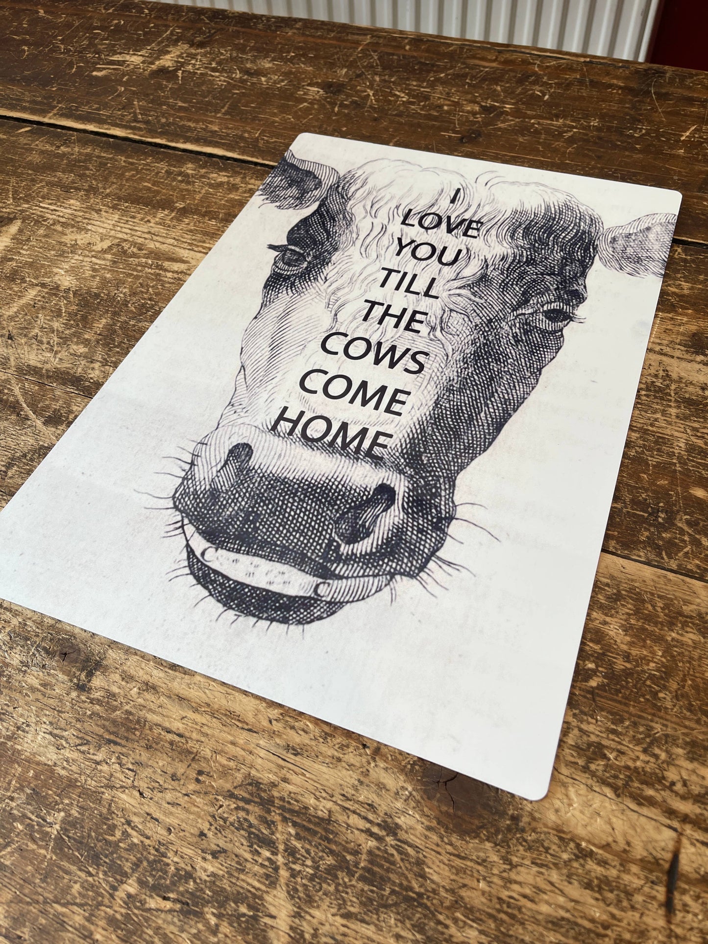 Cow I love you till the cows come home | Metal Sign
