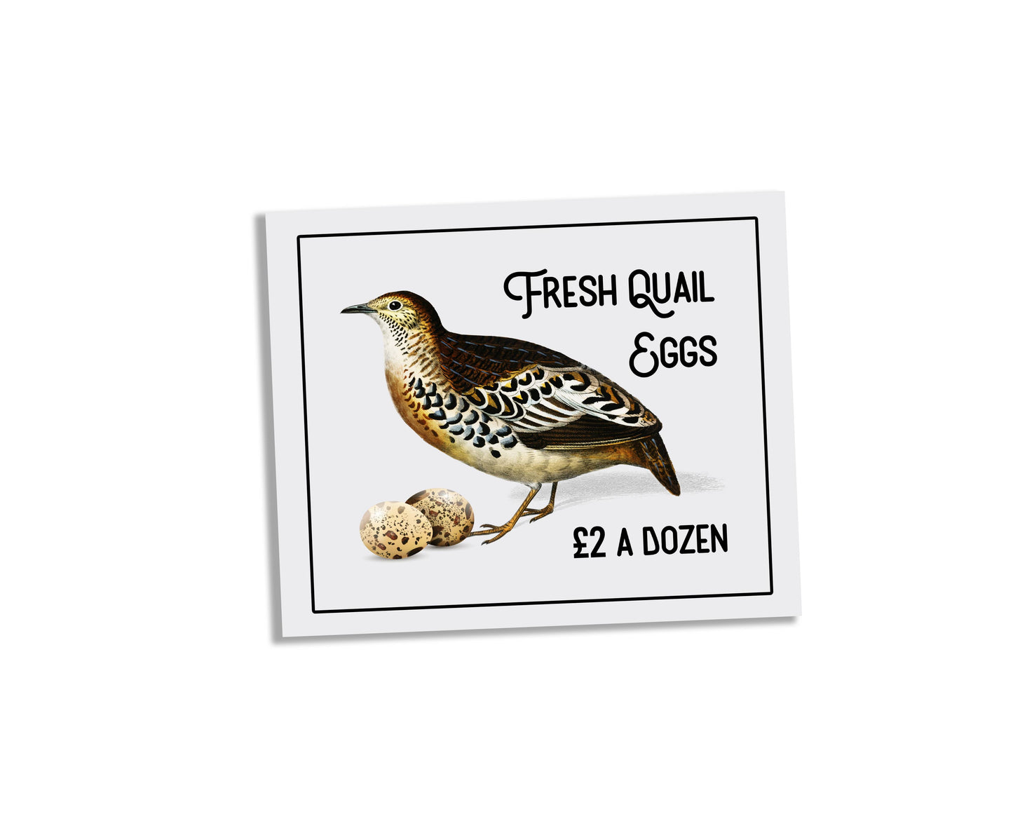 Fresh Quail Eggs Tin Sign | Metal Sign Plaque