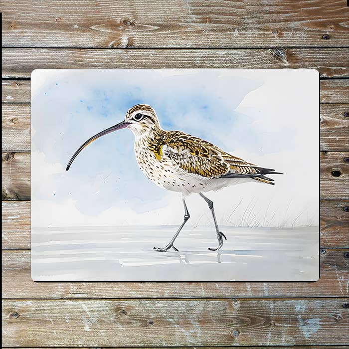 Curlew Bird Watercolour Spring | Metal Sign Plaque