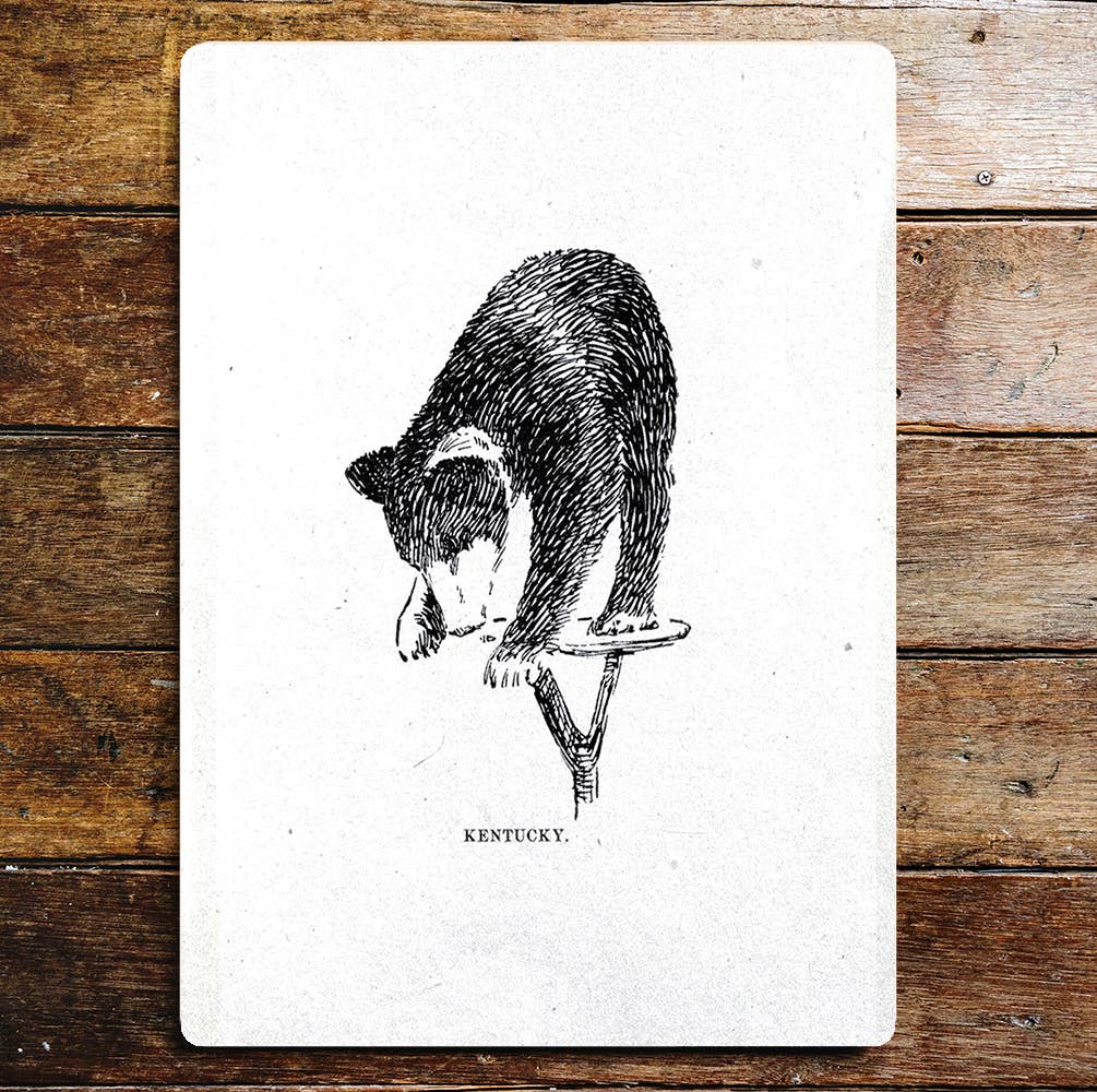 Cute Bear Cub Table Climbing Mischief | Metal Sign Plaque
