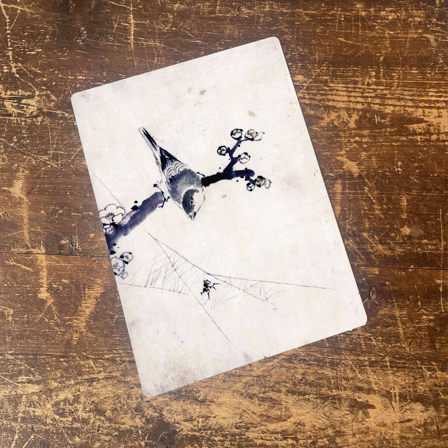 Bird On A Branch Spider Illustration | Metal Sign