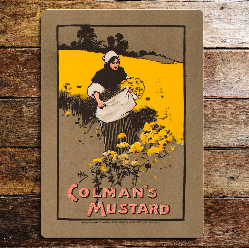 Colmans Mustard Yellow Flowers | Metal Wall Sign