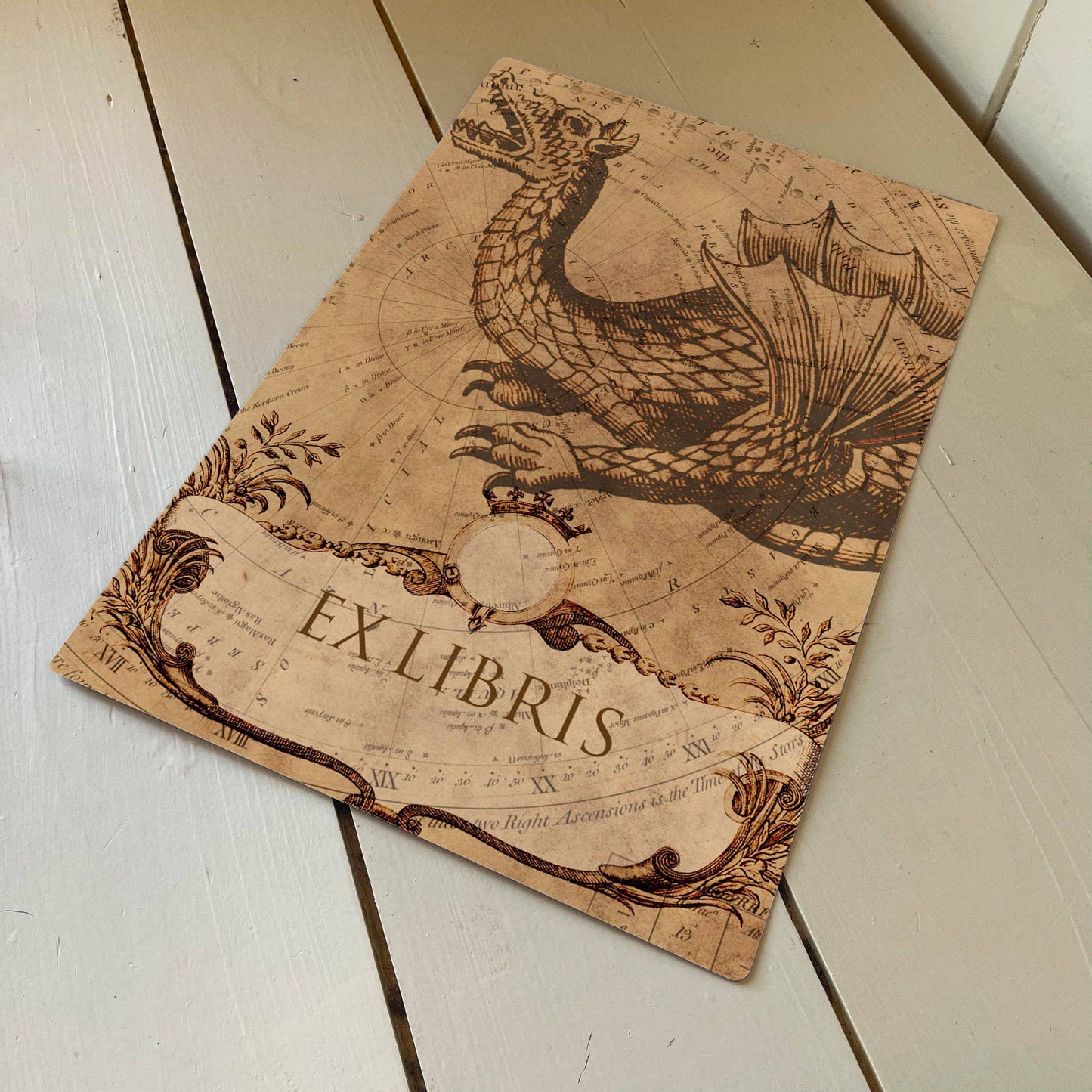 Mythical dragon | Metal Humour Wall Sign