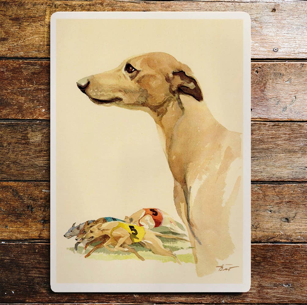 Whippet Dog Portrait Racing | Metal Sign Plaque