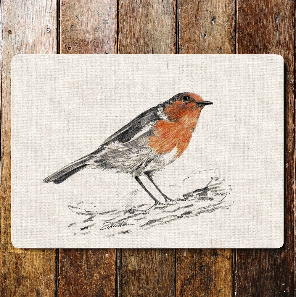 Robin bird nature wildlife art Metal Sign Plaque