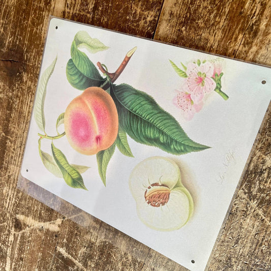 Fruit Noblesse Peach Botanical Flower | Metal Sign
