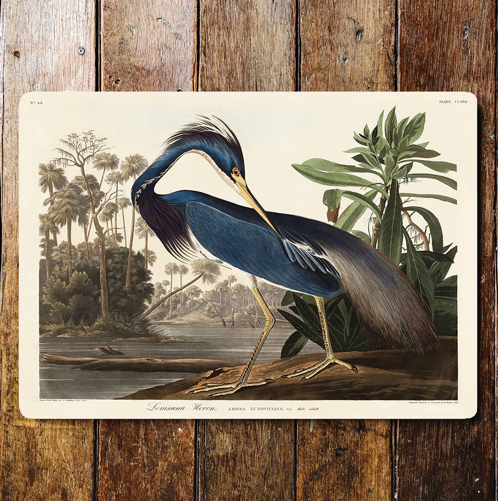 Louisiana Heron Riverside | Metal Sign Plaque